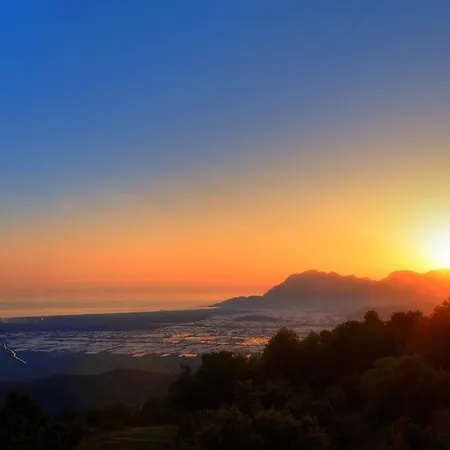 Akgul * Kalkan